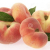 Test123